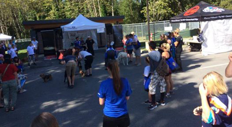 Paws for a Cause at the Maple Ridge SPCA