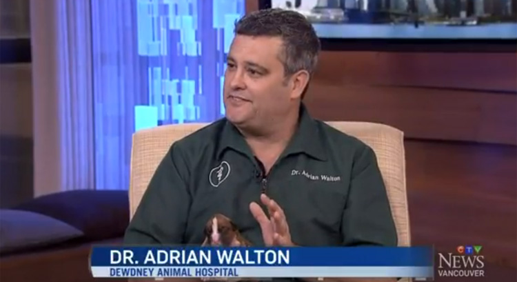 Dr. Walton discusses vaccines on CTV