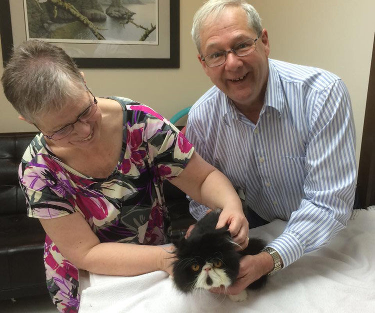 Cat meets his new family at Dewdney Animal Hospital